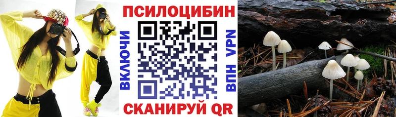 Псилоцибиновые грибы прущие грибы  Луза 